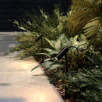 Aurelis – Aluminium Outdoor IP65 Spotlight