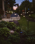 Warm solar firefly stake lights glowing along a garden path at dusk